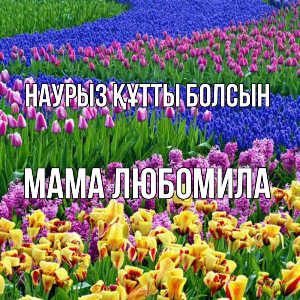 Открытка на каждый день с именем, Мама-Любомила Наурыз құтты болсын цветы Прикольная открытка с пожеланием онлайн скачать бесплатно 