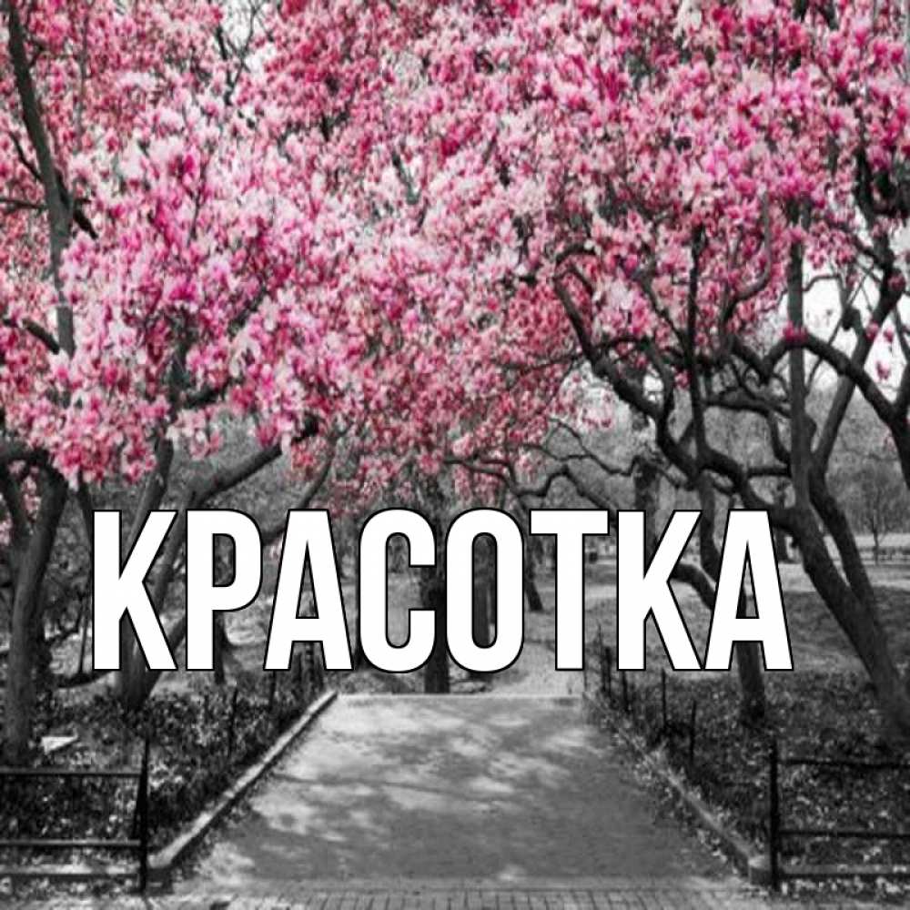 Открытка на каждый день с именем, красотка Главная обработанное фото Прикольная открытка с пожеланием онлайн скачать бесплатно 