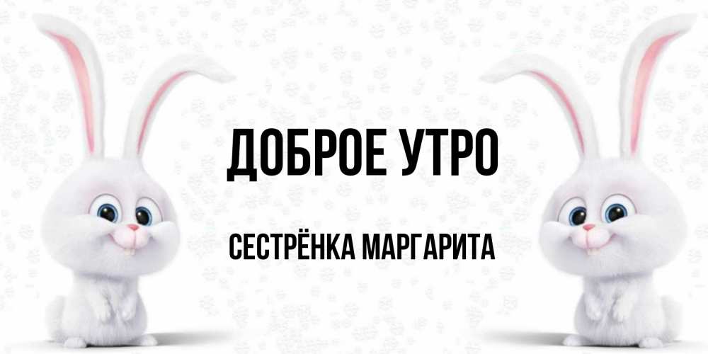 Открытка на каждый день с именем, Сестрёнка-Маргарита Доброе утро кролики с длинными ушками Прикольная открытка с пожеланием онлайн скачать бесплатно 