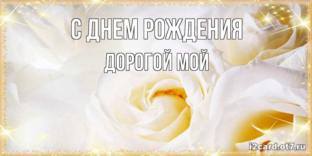 Открытка на каждый день с именем, Дорогой-мой С днем рождения красивые розы и капли росы на этих чудесных цветах Прикольная открытка с пожеланием онлайн скачать бесплатно 