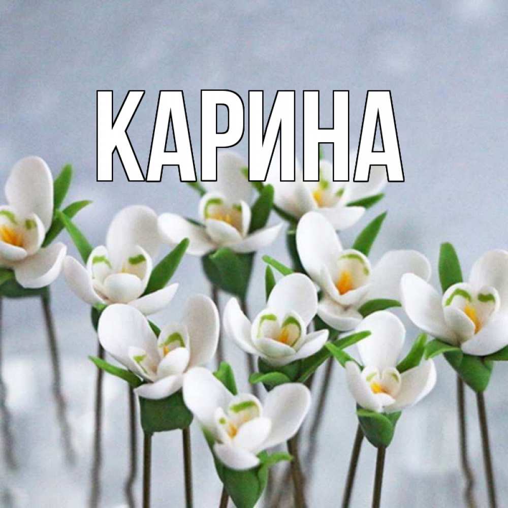 Картинка  с именем , Карина