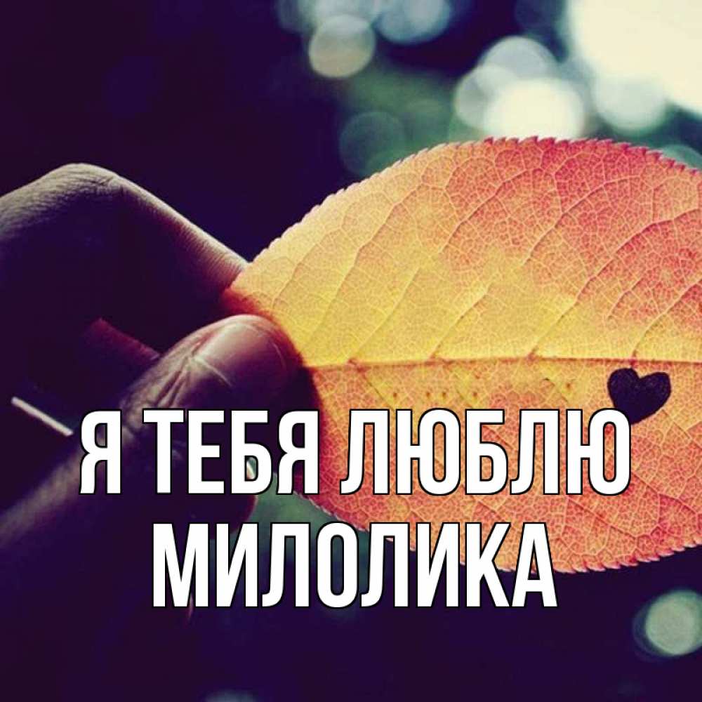 Открытка на каждый день с именем, Милолика Я тебя люблю держу лист Прикольная открытка с пожеланием онлайн скачать бесплатно 