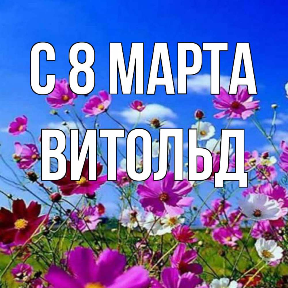 Картинка С 8 МАРТА, Витольд
