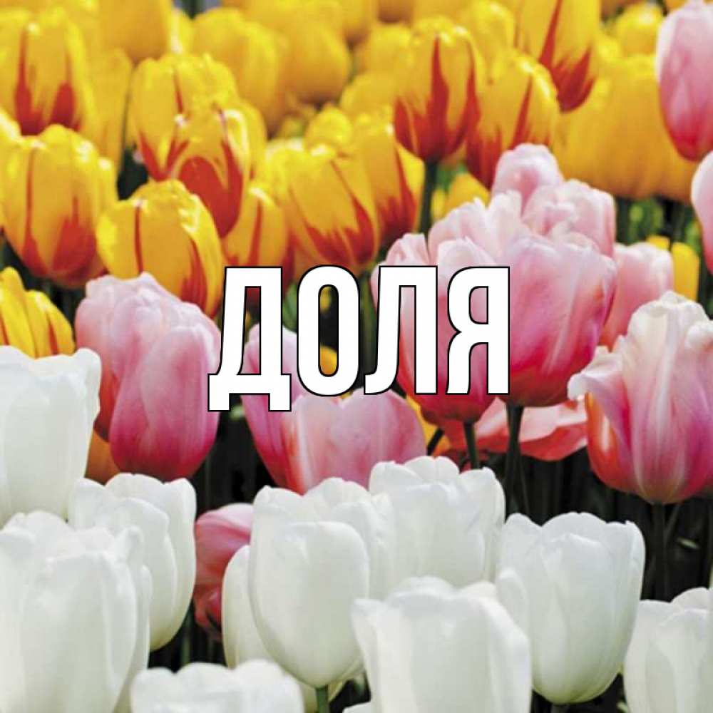 Открытка на каждый день с именем, Доля Главная разноцветные цветы Прикольная открытка с пожеланием онлайн скачать бесплатно 