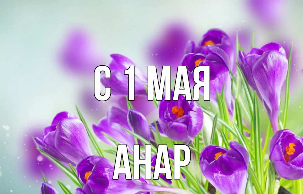 День света 16 мая картинки