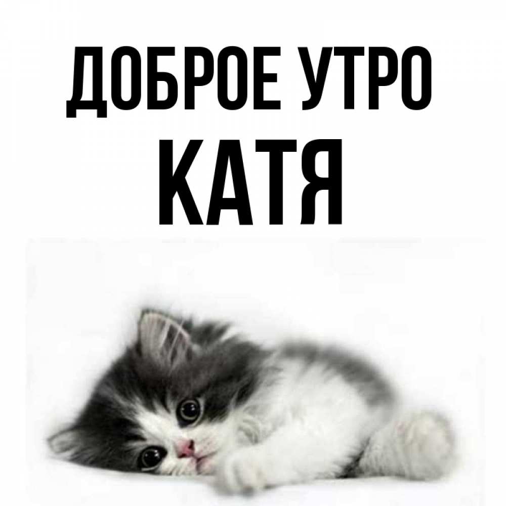 Доброе Утро Катенька Картинки