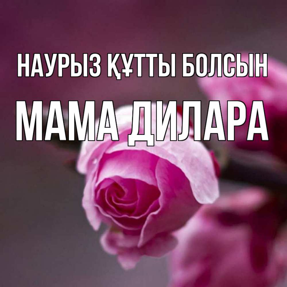 Открытка на каждый день с именем, Мама-Дилара Наурыз құтты болсын весна Прикольная открытка с пожеланием онлайн скачать бесплатно 