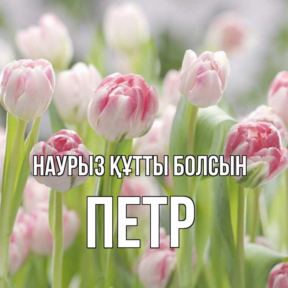 Открытка на каждый день с именем, Петр Наурыз құтты болсын цветы Прикольная открытка с пожеланием онлайн скачать бесплатно 