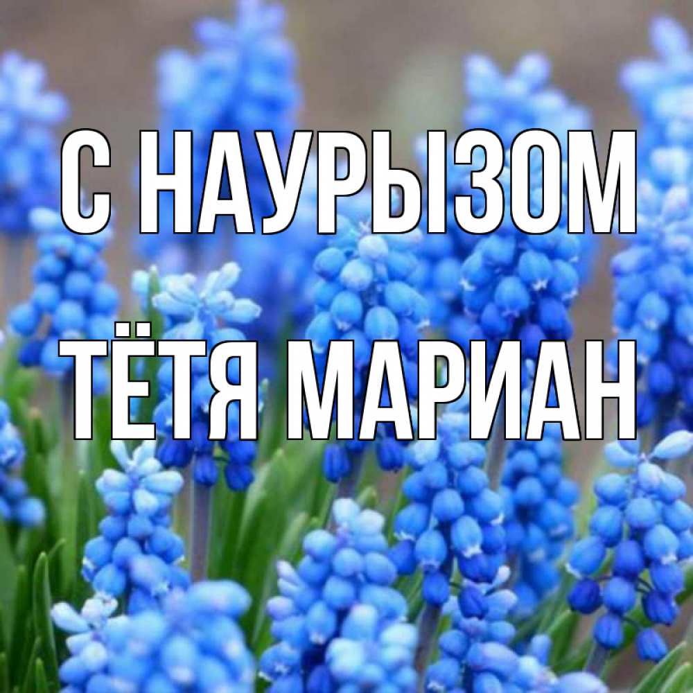 Открытка на каждый день с именем, Тётя-Мариан С наурызом Поздравительная открытка для женщин с цветами на праздничную дату Прикольная открытка с пожеланием онлайн скачать бесплатно 