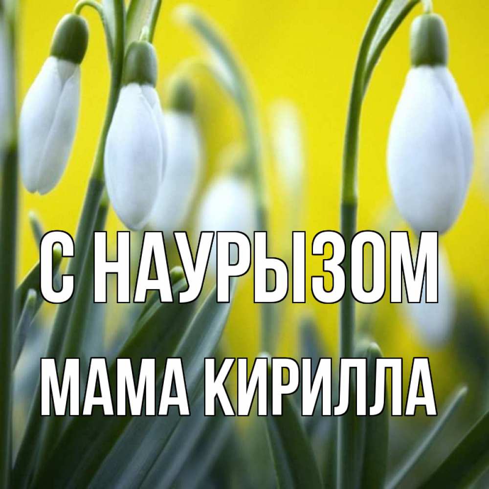 Открытка на каждый день с именем, Мама-Кирилла С наурызом весенние цветы Прикольная открытка с пожеланием онлайн скачать бесплатно 