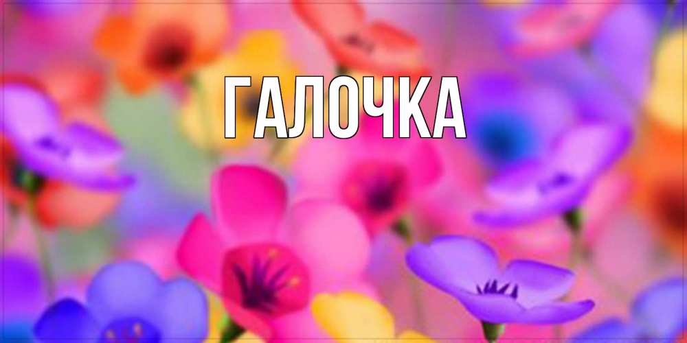 Открытка на каждый день с именем, Галочка Главная открытка повышающая настроение Прикольная открытка с пожеланием онлайн скачать бесплатно 