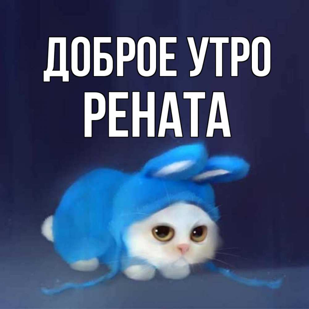 Открытка на каждый день с именем, Рената Доброе утро открытки красивые скачать бесплатно Прикольная открытка с пожеланием онлайн скачать бесплатно 