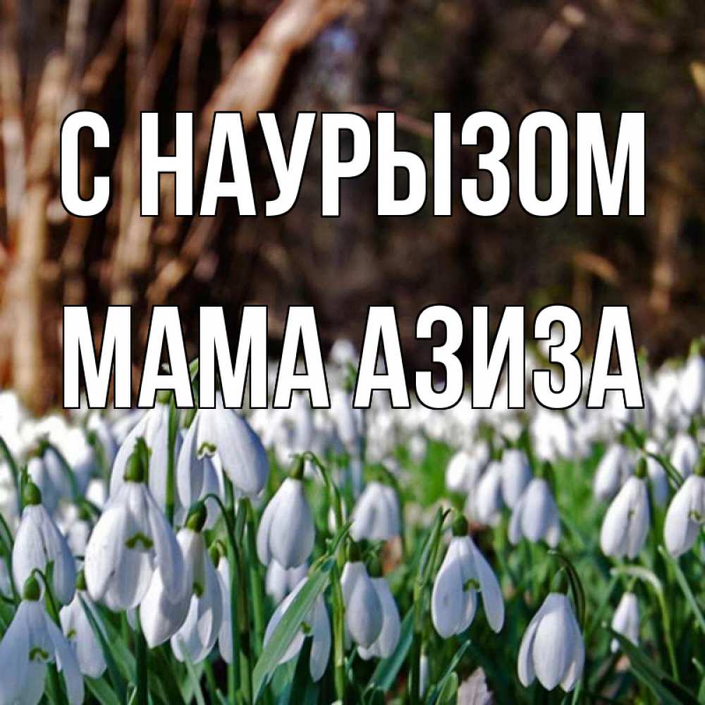 Открытка на каждый день с именем, Мама-Азиза С наурызом с подснежниками 1 Прикольная открытка с пожеланием онлайн скачать бесплатно 