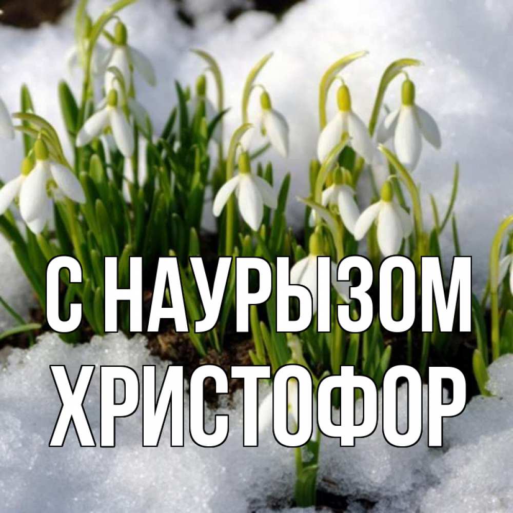 Открытка на каждый день с именем, Христофор С наурызом цветы весенние Прикольная открытка с пожеланием онлайн скачать бесплатно 