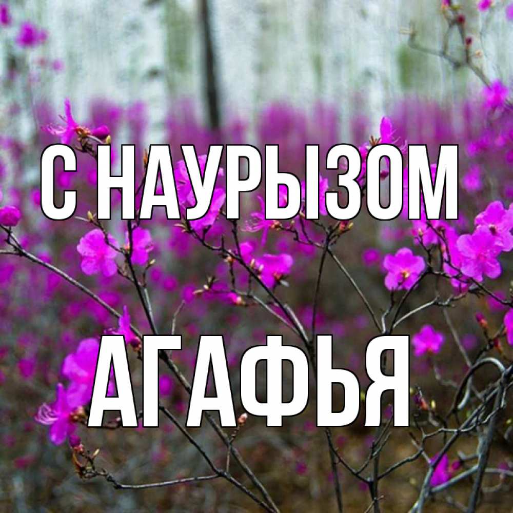 Открытка на каждый день с именем, Агафья С наурызом дикие цветы Прикольная открытка с пожеланием онлайн скачать бесплатно 