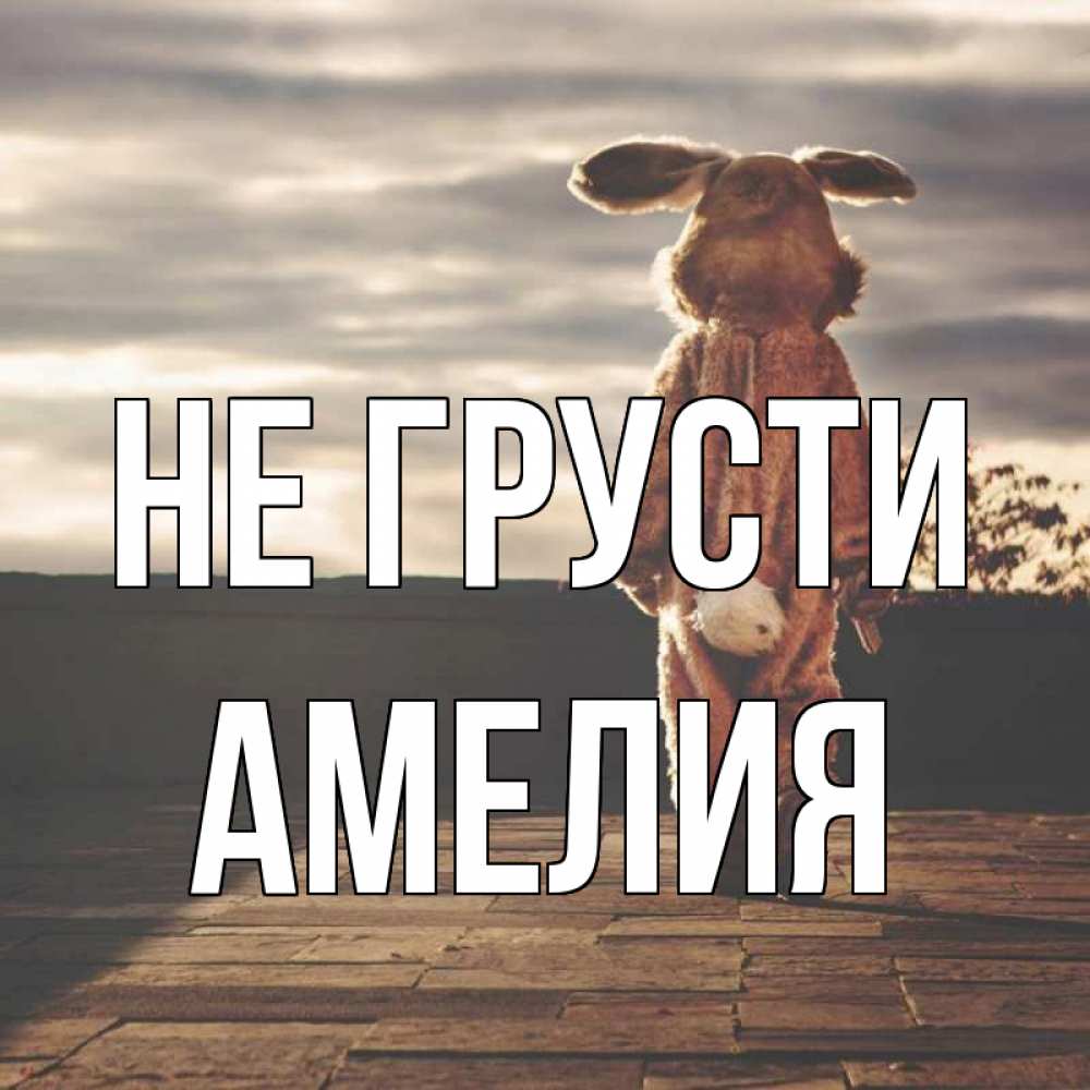 Открытка на каждый день с именем, Амелия Не грусти со спины Прикольная открытка с пожеланием онлайн скачать бесплатно 