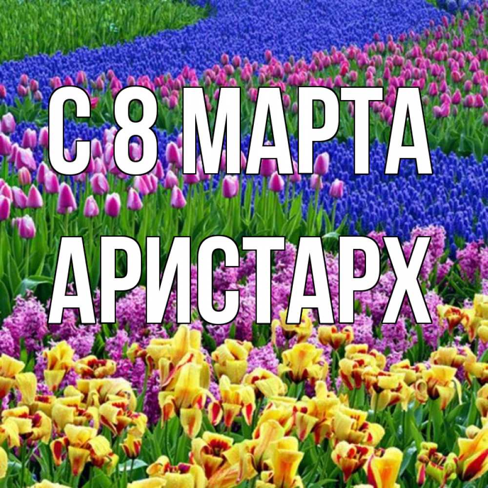 Открытка на каждый день с именем, Аристарх С 8 МАРТА цветы Прикольная открытка с пожеланием онлайн скачать бесплатно 