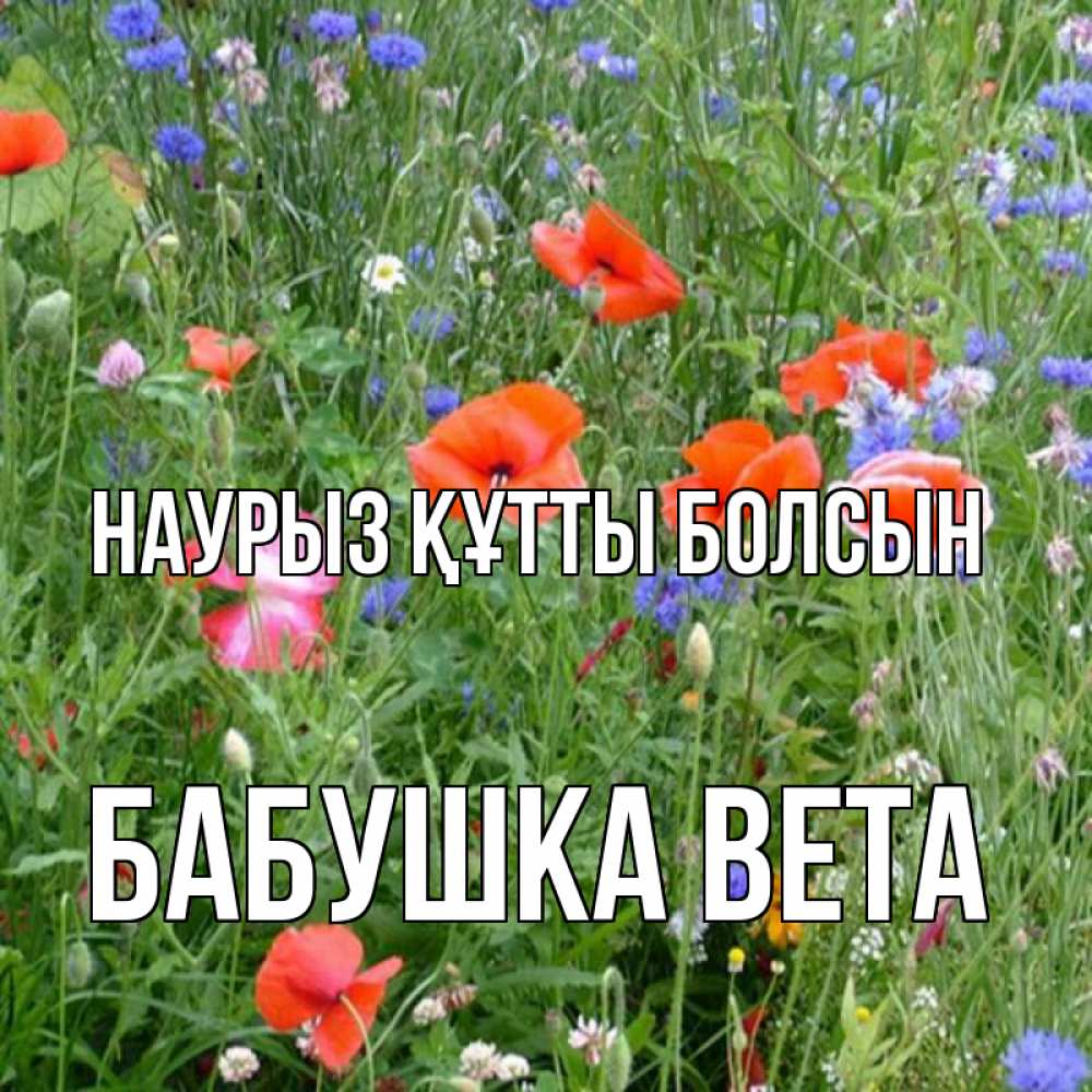Открытка на каждый день с именем, Бабушка-Вета Наурыз құтты болсын наурыз  4 Прикольная открытка с пожеланием онлайн скачать бесплатно 