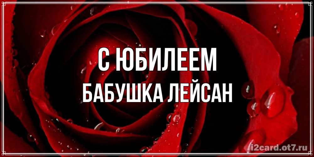 Открытка на каждый день с именем, Бабушка-Лейсан С юбилеем крупная бордовая роза Прикольная открытка с пожеланием онлайн скачать бесплатно 