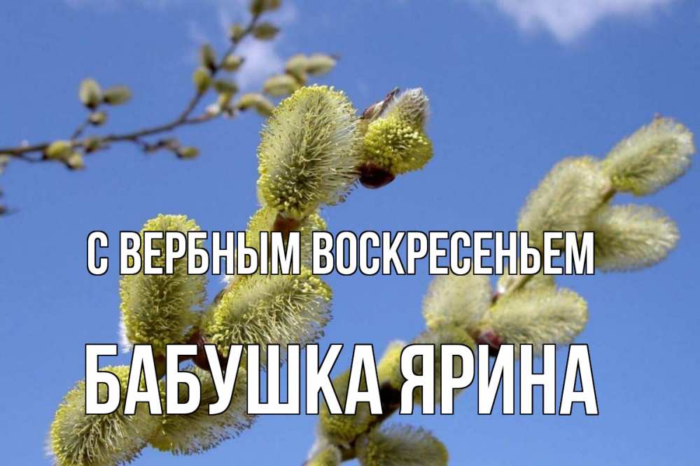 Открытка на каждый день с именем, Бабушка-Ярина С вербным воскресеньем верба Прикольная открытка с пожеланием онлайн скачать бесплатно 