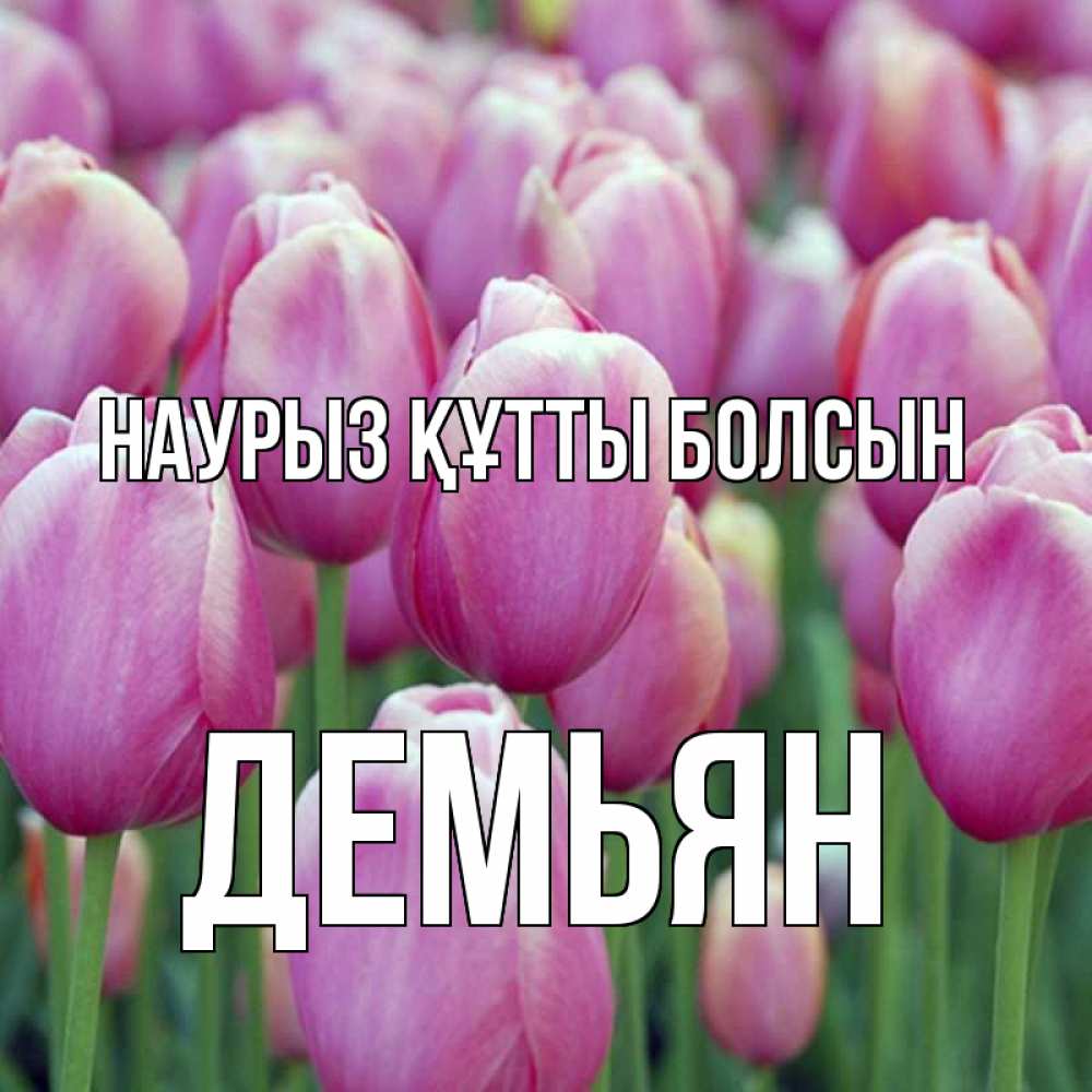 Открытка на каждый день с именем, Демьян Наурыз құтты болсын на наурыз  день 3 Прикольная открытка с пожеланием онлайн скачать бесплатно 