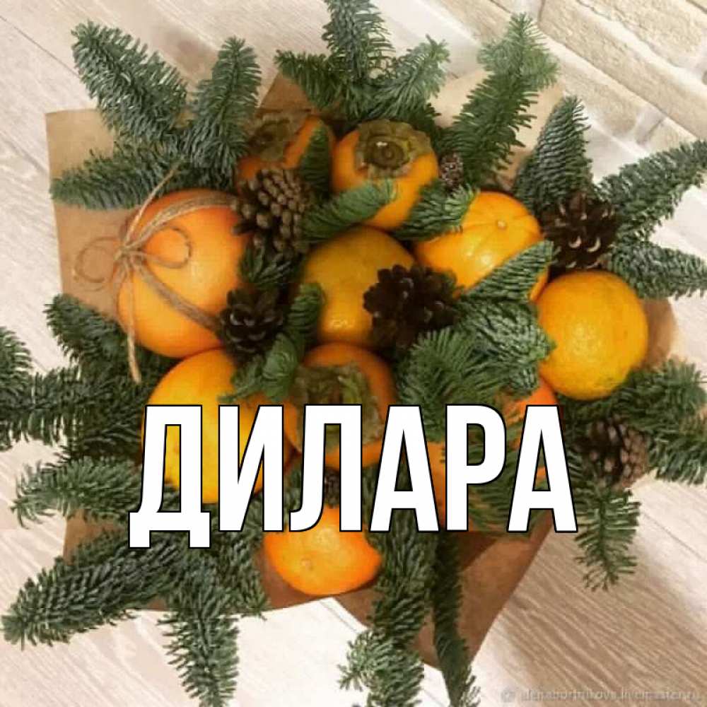 Открытка на каждый день с именем, Дилара Главная апельсины и хурьма Прикольная открытка с пожеланием онлайн скачать бесплатно 