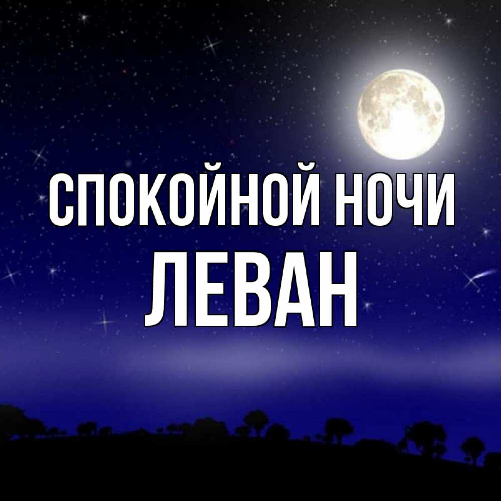 Открытка на каждый день с именем, Леван Спокойной ночи ночное небо и лесная опушка при свете луны Прикольная открытка с пожеланием онлайн скачать бесплатно 