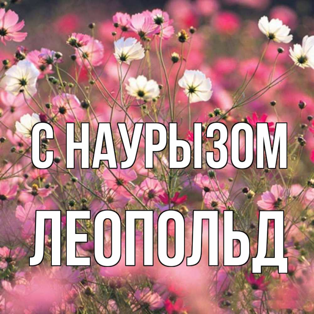 Открытка на каждый день с именем, Леопольд С наурызом красиво 1 Прикольная открытка с пожеланием онлайн скачать бесплатно 