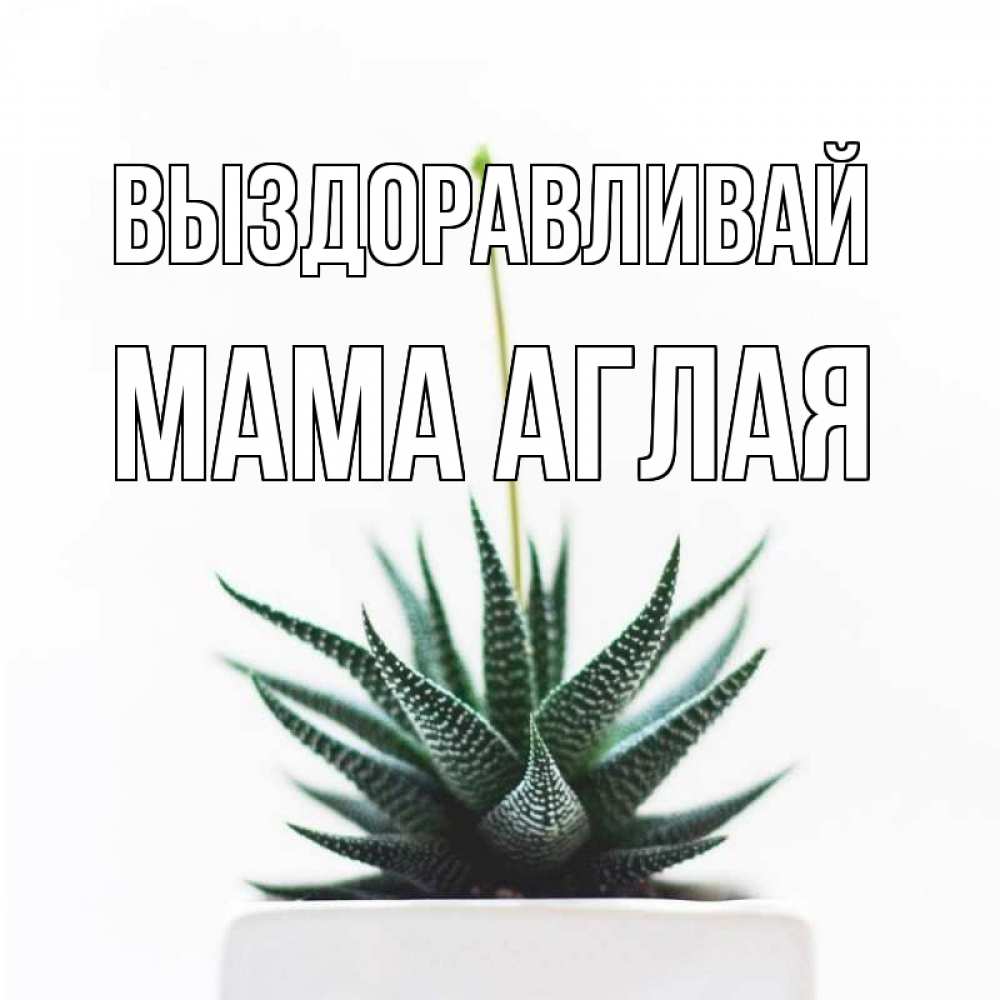 Открытка на каждый день с именем, Мама-Аглая Выздоравливай короче это непонятная колючка Прикольная открытка с пожеланием онлайн скачать бесплатно 
