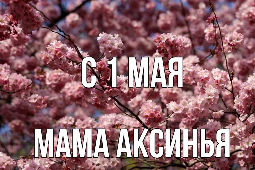 Открытка на каждый день с именем, Мама-Аксинья С 1 мая С 1 мая Прикольная открытка с пожеланием онлайн скачать бесплатно 
