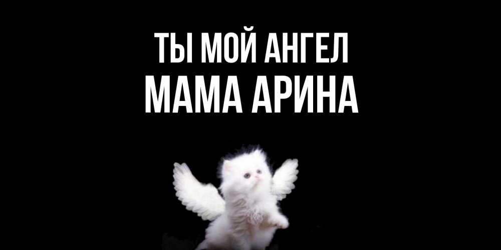 Открытка на каждый день с именем, Мама-Арина Ты мой ангел Кот ангел Прикольная открытка с пожеланием онлайн скачать бесплатно 
