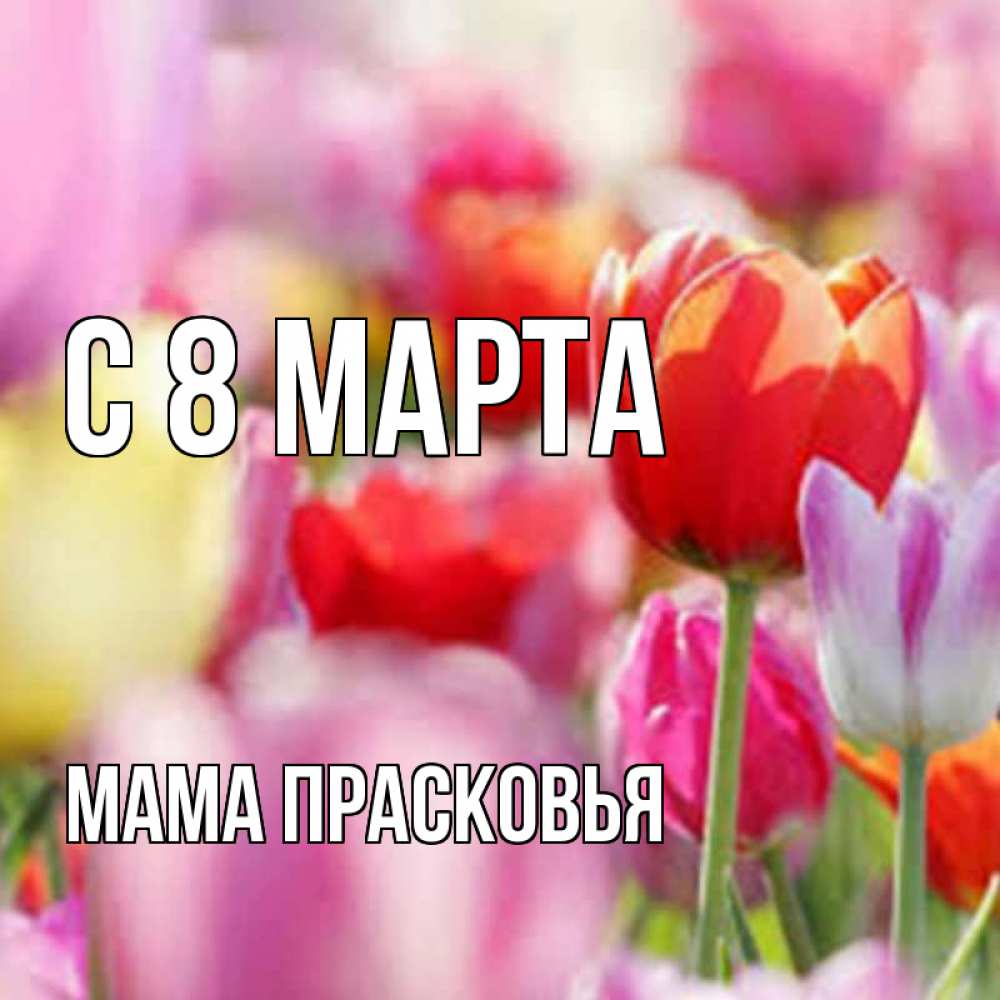 Открытка на каждый день с именем, Мама-Прасковья С 8 марта на международный женский день 2 Прикольная открытка с пожеланием онлайн скачать бесплатно 