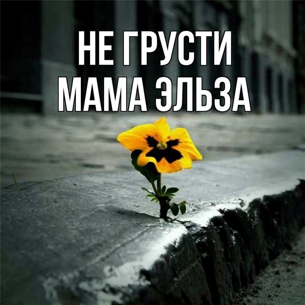 Открытка на каждый день с именем, Мама-Эльза Не грусти не сдавайся Прикольная открытка с пожеланием онлайн скачать бесплатно 