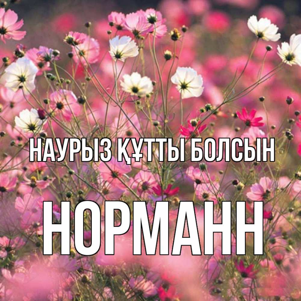 Открытка на каждый день с именем, Норманн Наурыз құтты болсын красиво 1 Прикольная открытка с пожеланием онлайн скачать бесплатно 
