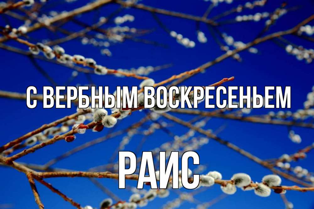 Открытка на каждый день с именем, Раис С вербным воскресеньем верба Прикольная открытка с пожеланием онлайн скачать бесплатно 