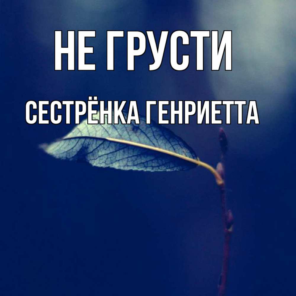 Открытка на каждый день с именем, Сестрёнка-Генриетта Не грусти растение Прикольная открытка с пожеланием онлайн скачать бесплатно 