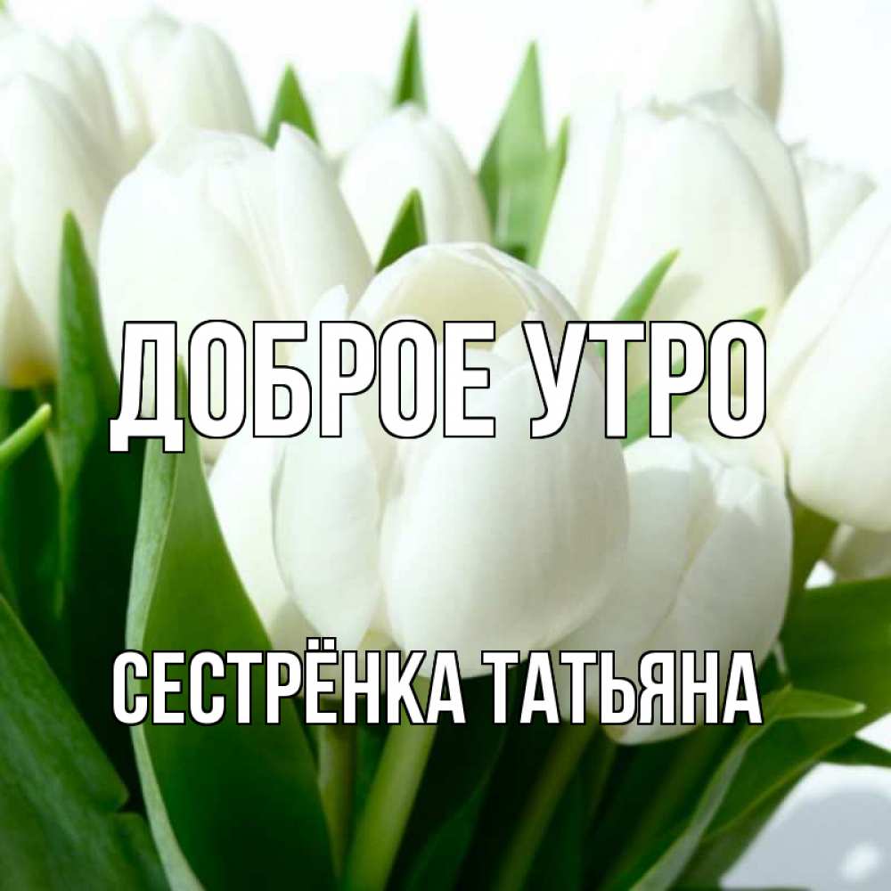 Открытка на каждый день с именем, Сестрёнка-Татьяна Доброе утро открытки на каждый день по именам Прикольная открытка с пожеланием онлайн скачать бесплатно 