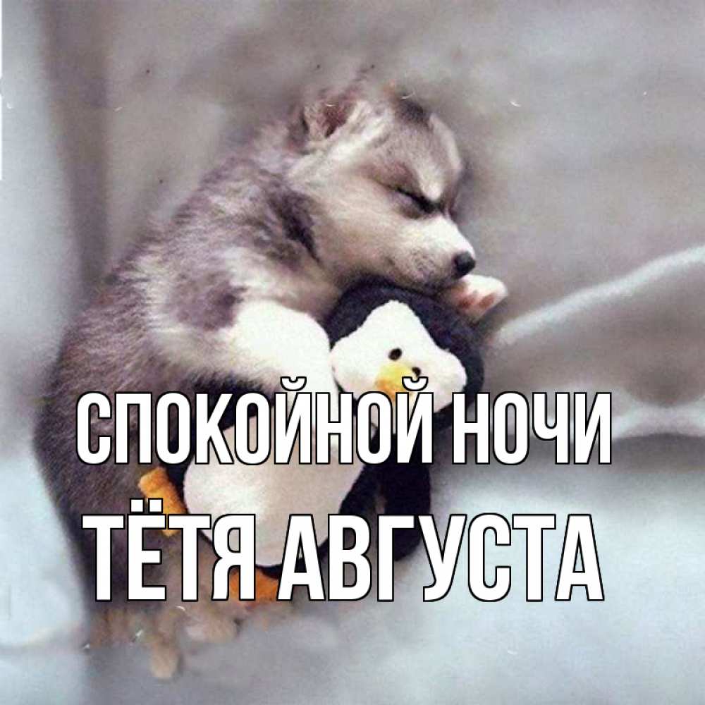 Открытка на каждый день с именем, Тётя-Августа Спокойной ночи обнимашки щенка и пингвина Прикольная открытка с пожеланием онлайн скачать бесплатно 