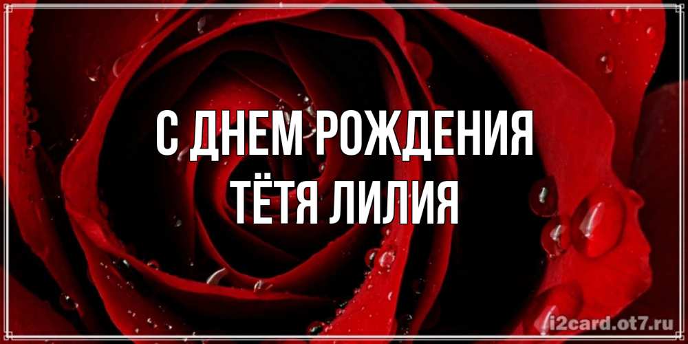 Открытка на каждый день с именем, Тётя-Лилия С днем рождения крупная бордовая роза Прикольная открытка с пожеланием онлайн скачать бесплатно 