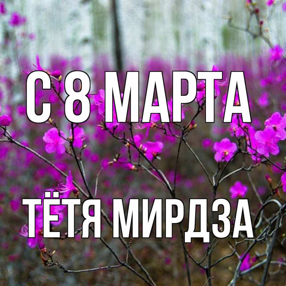Открытка на каждый день с именем, Тётя-Мирдза С 8 МАРТА дикие цветы Прикольная открытка с пожеланием онлайн скачать бесплатно 