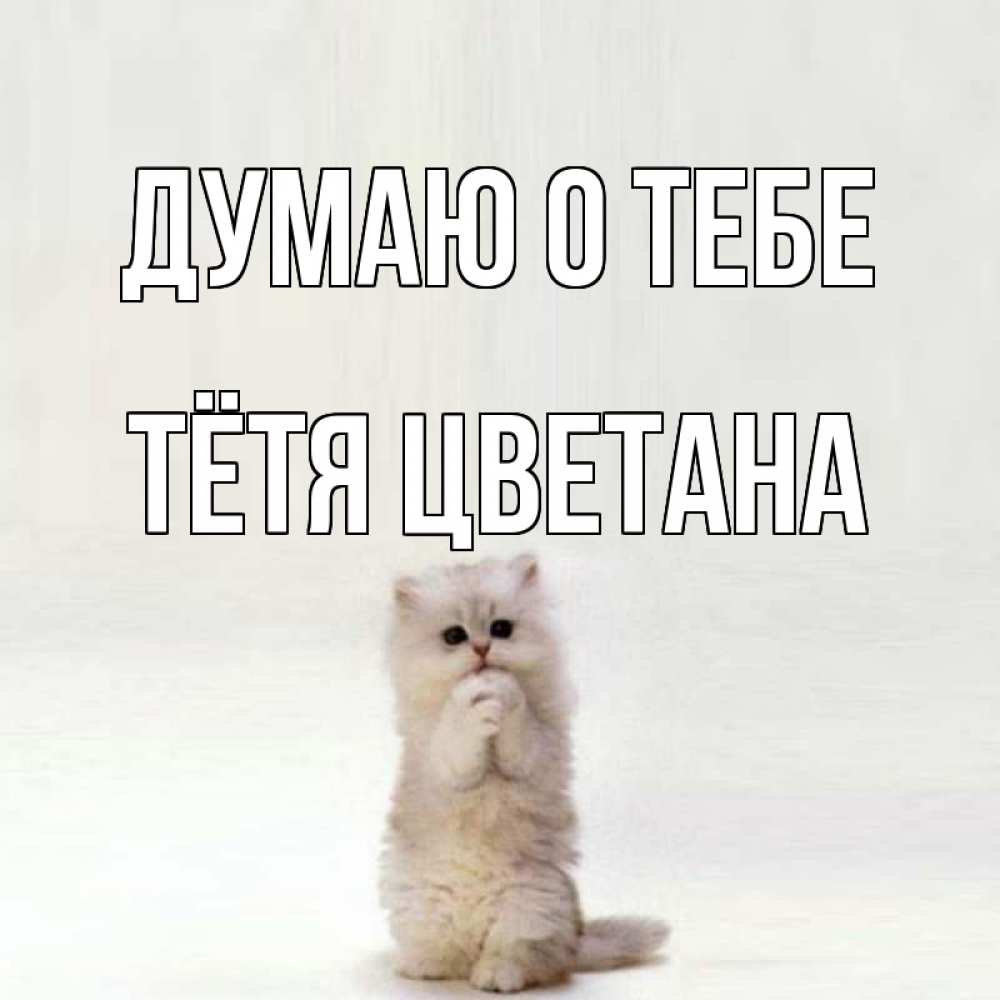 Открытка на каждый день с именем, Тётя-Цветана Думаю о тебе кот стоит на задних лапах Прикольная открытка с пожеланием онлайн скачать бесплатно 