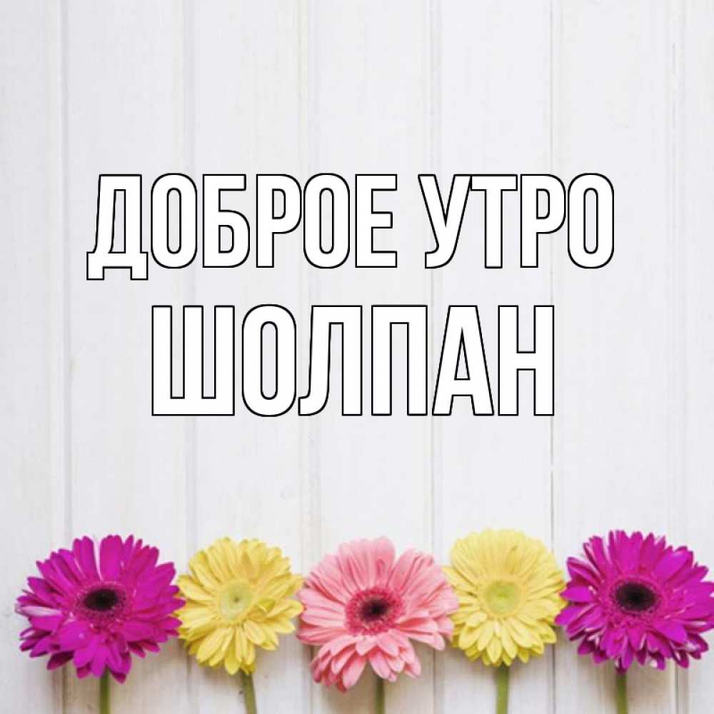 Открытка на каждый день с именем, Шолпан Доброе утро красный желтый и розовый цветок Прикольная открытка с пожеланием онлайн скачать бесплатно 