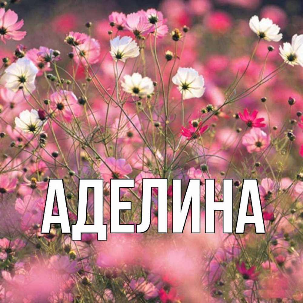 Доброе утро зуля картинки