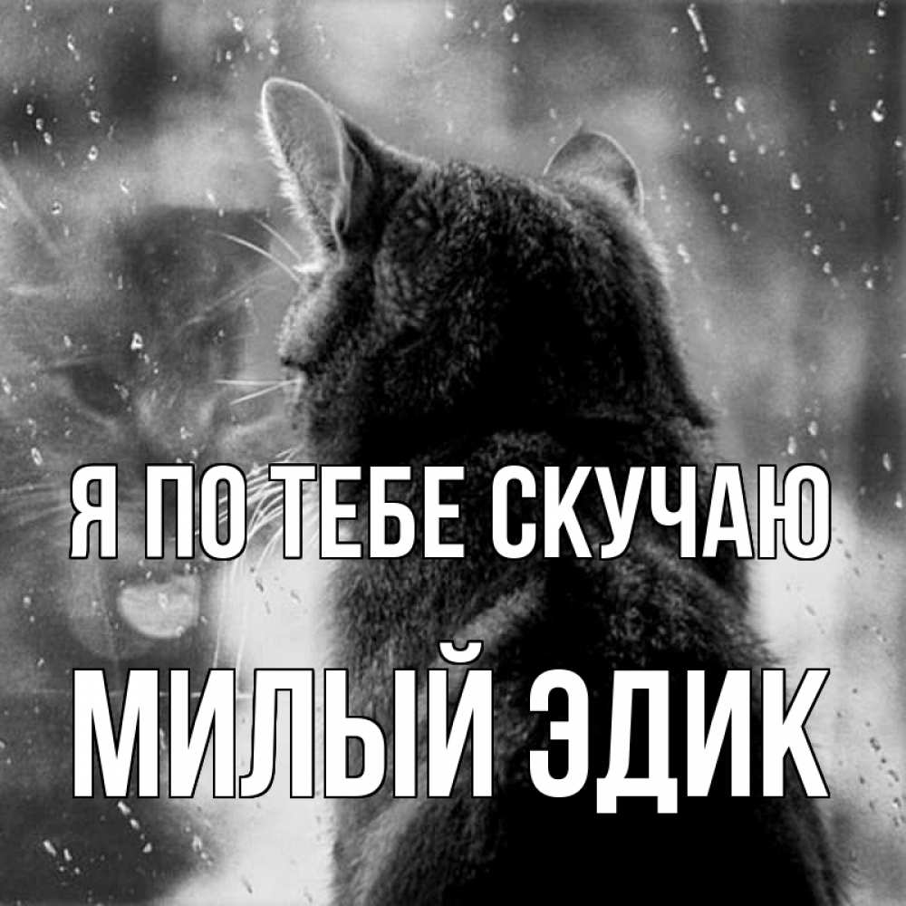 Ты очень милая