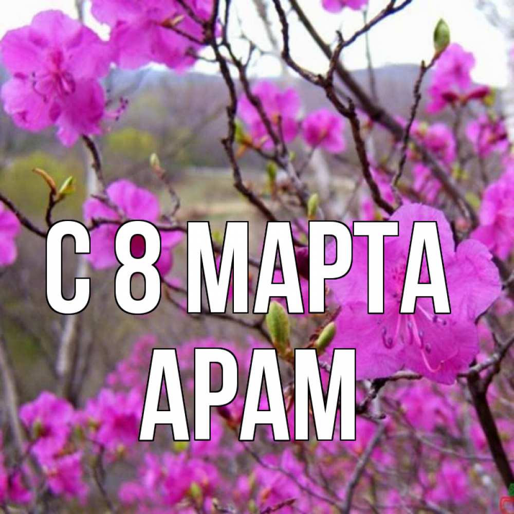 Открытка на каждый день с именем, Арам С 8 МАРТА международный женский день Прикольная открытка с пожеланием онлайн скачать бесплатно 