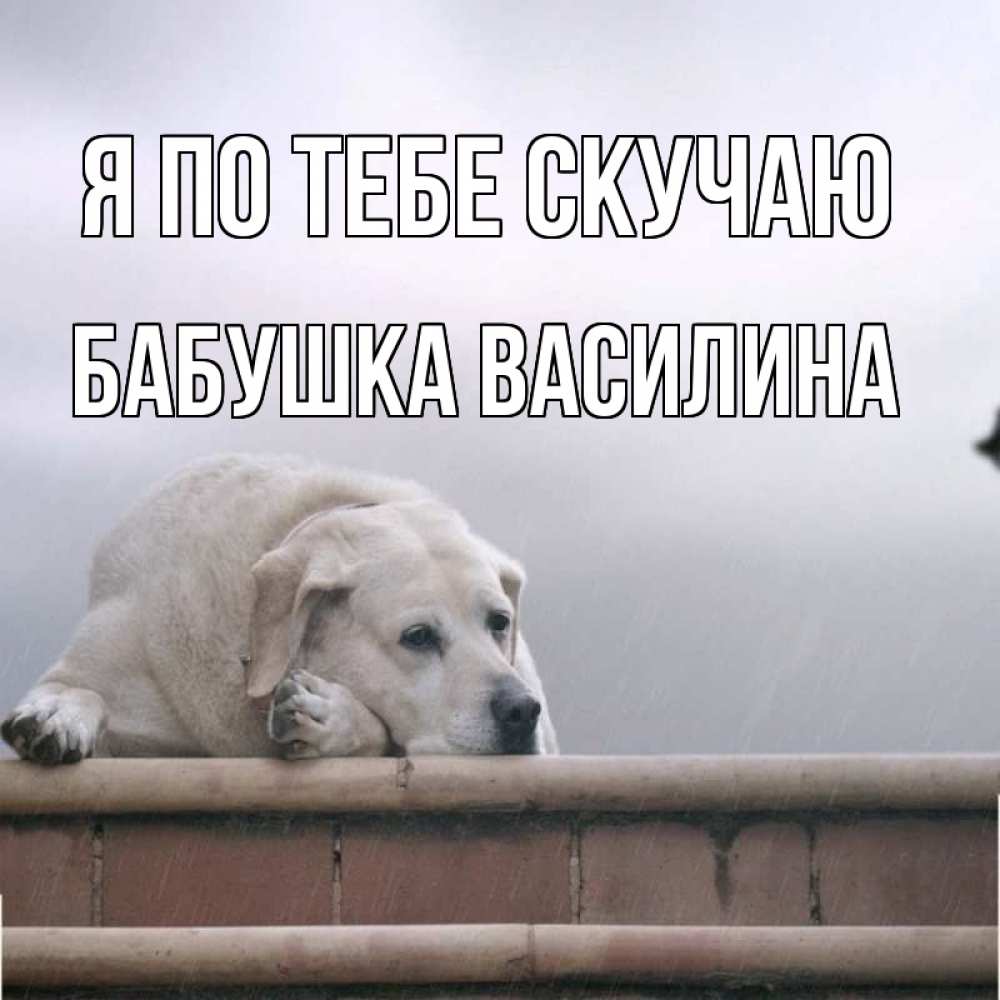 Открытка на каждый день с именем, Бабушка-Василина Я по тебе скучаю ждет Прикольная открытка с пожеланием онлайн скачать бесплатно 