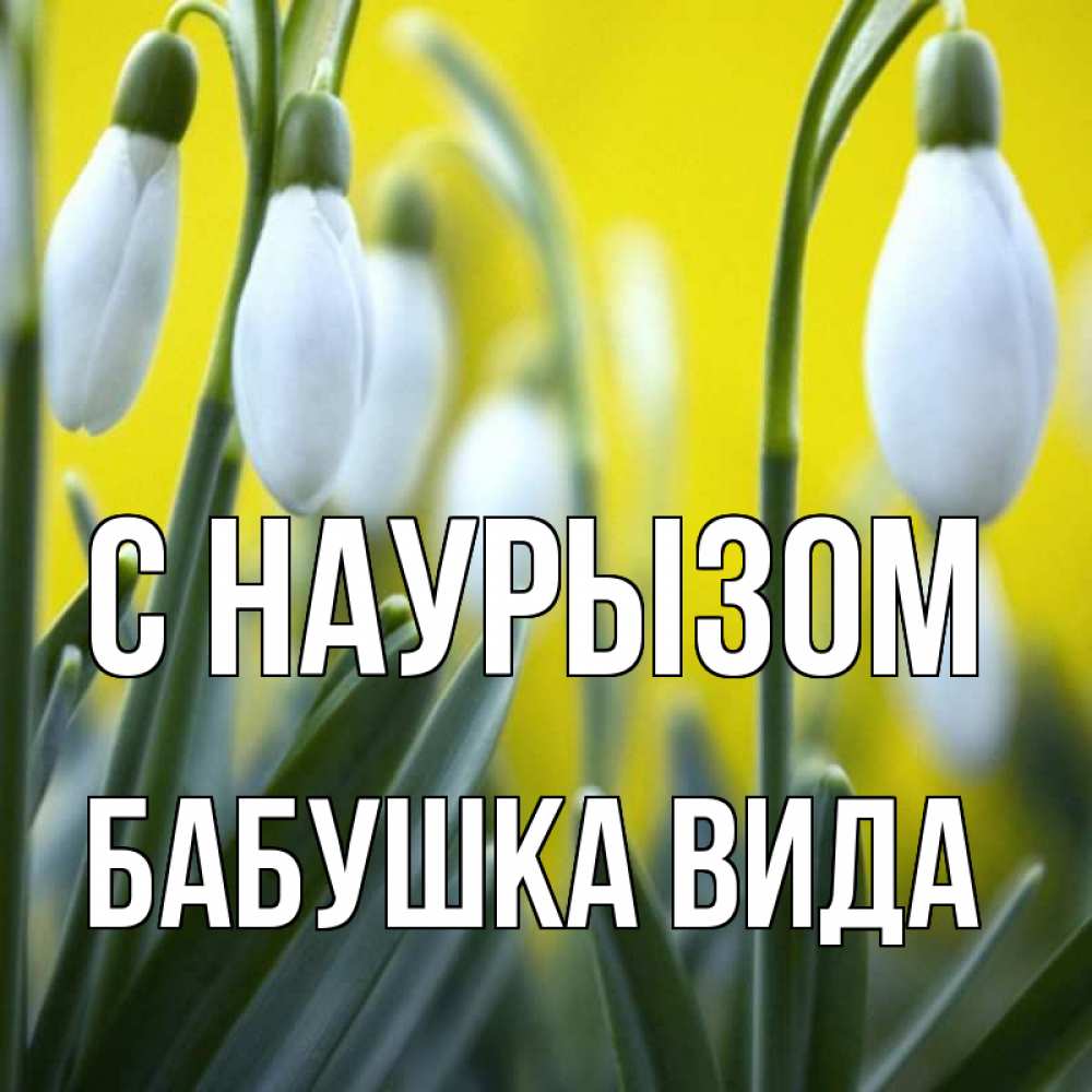 Открытка на каждый день с именем, Бабушка-Вида С наурызом весенние цветы Прикольная открытка с пожеланием онлайн скачать бесплатно 