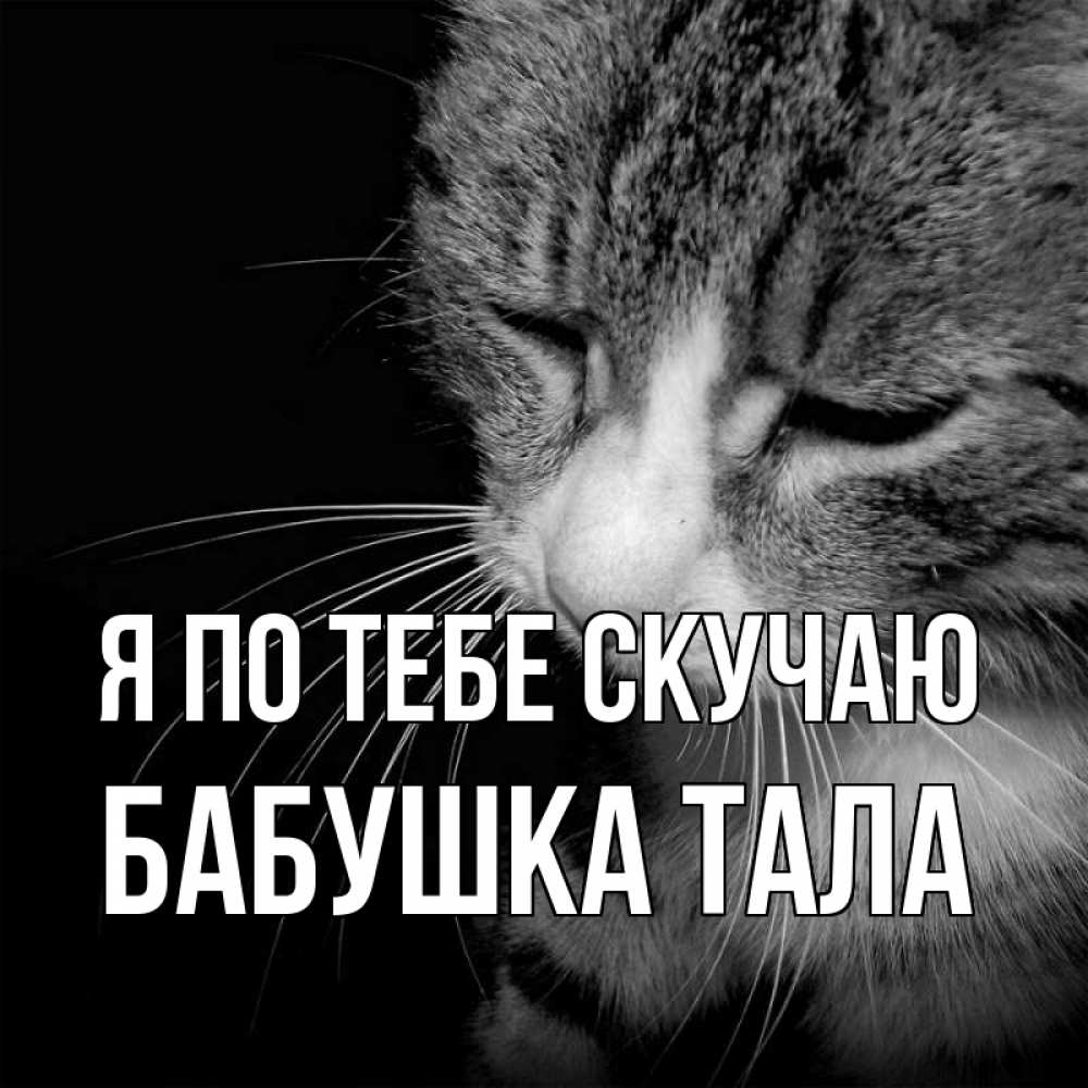 Открытка на каждый день с именем, Бабушка-Тала Я по тебе скучаю мне скучно Прикольная открытка с пожеланием онлайн скачать бесплатно 
