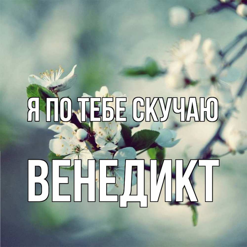 Открытка на каждый день с именем, Венедикт Я по тебе скучаю весна Прикольная открытка с пожеланием онлайн скачать бесплатно 