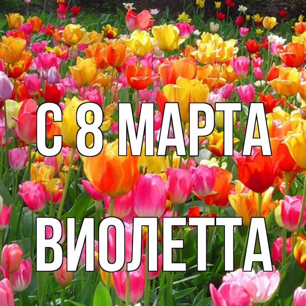 Открытка на каждый день с именем, Виолетта С 8 МАРТА на международный женский день Прикольная открытка с пожеланием онлайн скачать бесплатно 